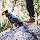 Ridgemont Footwear Monty Hi - Brown/Orange
